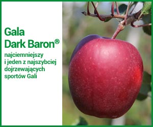 Gala Dark Baron