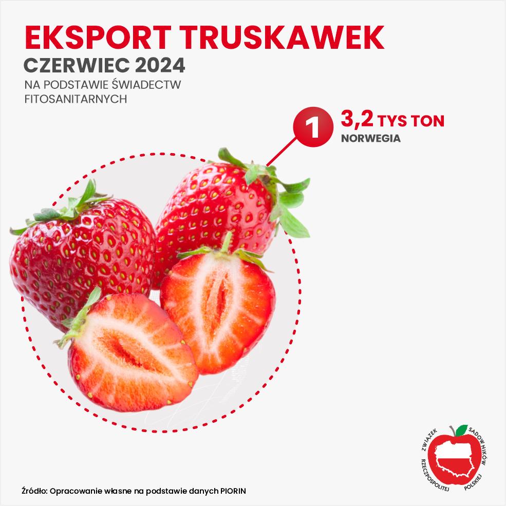 Eksport truskawek 2024