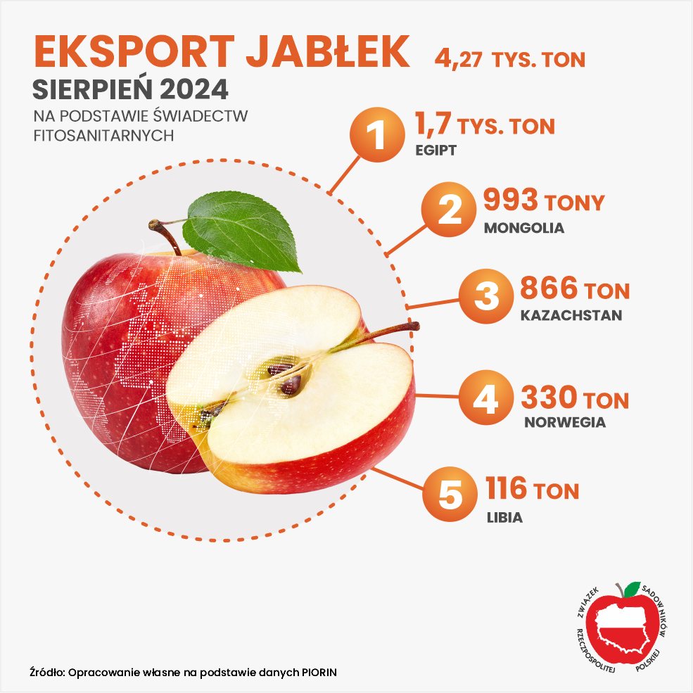 EKSPORT JABŁEK 2024