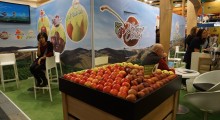 Fruit Logistica 2015