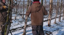 KRUS: Zaliczki na podatek dochodowy i składek na ubezpieczenie 