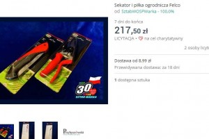  Sekator i piłka ogrodnicza Felco