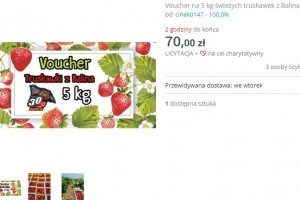  Voucher na 5 kg świeżych truskawek z Balina