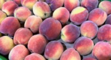 Ceny brzoskwini i moreli na rynkach hurtowych – 28 czerwca 