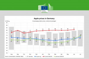  Ceny jabłek w Niemczech - czerwiec 2024 