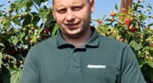 Komunikat jagodowy - malina - 29.08 - Agrosimex