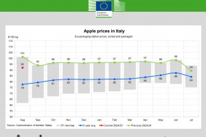  Ceny jabłek we Włoszech - sierpień 2024 