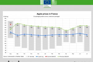  Ceny jabłek we Francji - sierpień 2024 