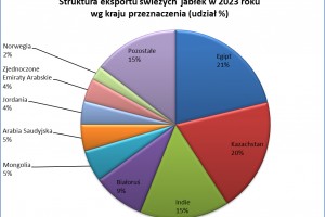  Wykres 5. Struktura eksportu świeżych jabłek w 2023 roku wg kraju przeznaczenia.