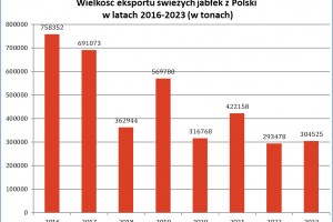  Wykres 6. Wielkość eksportu świeżych jabłek z Polski w latach 2016-2023