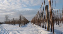 Burze śnieżne uderzą w Polskę ! 