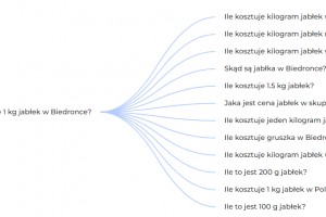 Ile kosztuje 1kg jabłek w Biedronce?