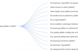 Ile płacą za spady jabłek w 2024?