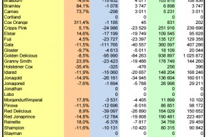  WAPA: Zapasy jabłek w Unii Europejskiej - odmiany - styczeń2025 