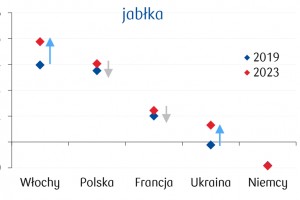  Wskaźniki ujawnionych przewag komparatywnych (RCA) w eksporcie jabłek 