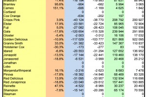  WAPA 2/2025: Zapasy jabłek w chłodniach w UE - odmiany 