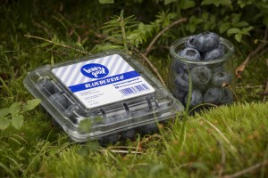 Polish Berry Cooperative