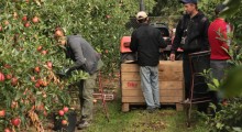 Kontrole straży granicznej w gospodarstwach