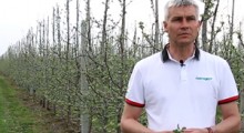 Agrosimex: komunikat sadowniczy - 16.04.2018