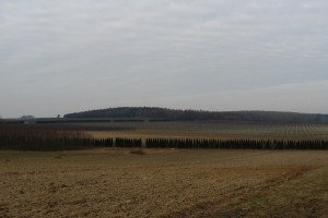 Cała powierzchnia ogrodzona płotem z siatki i płyt ogrodzeniowych. 