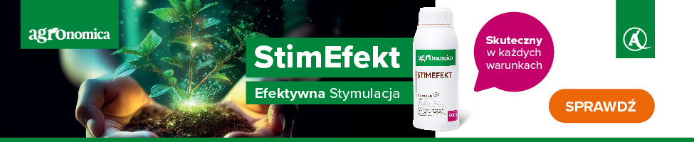 StimEfekt 